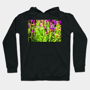 Spring Garden #8 Hoodie